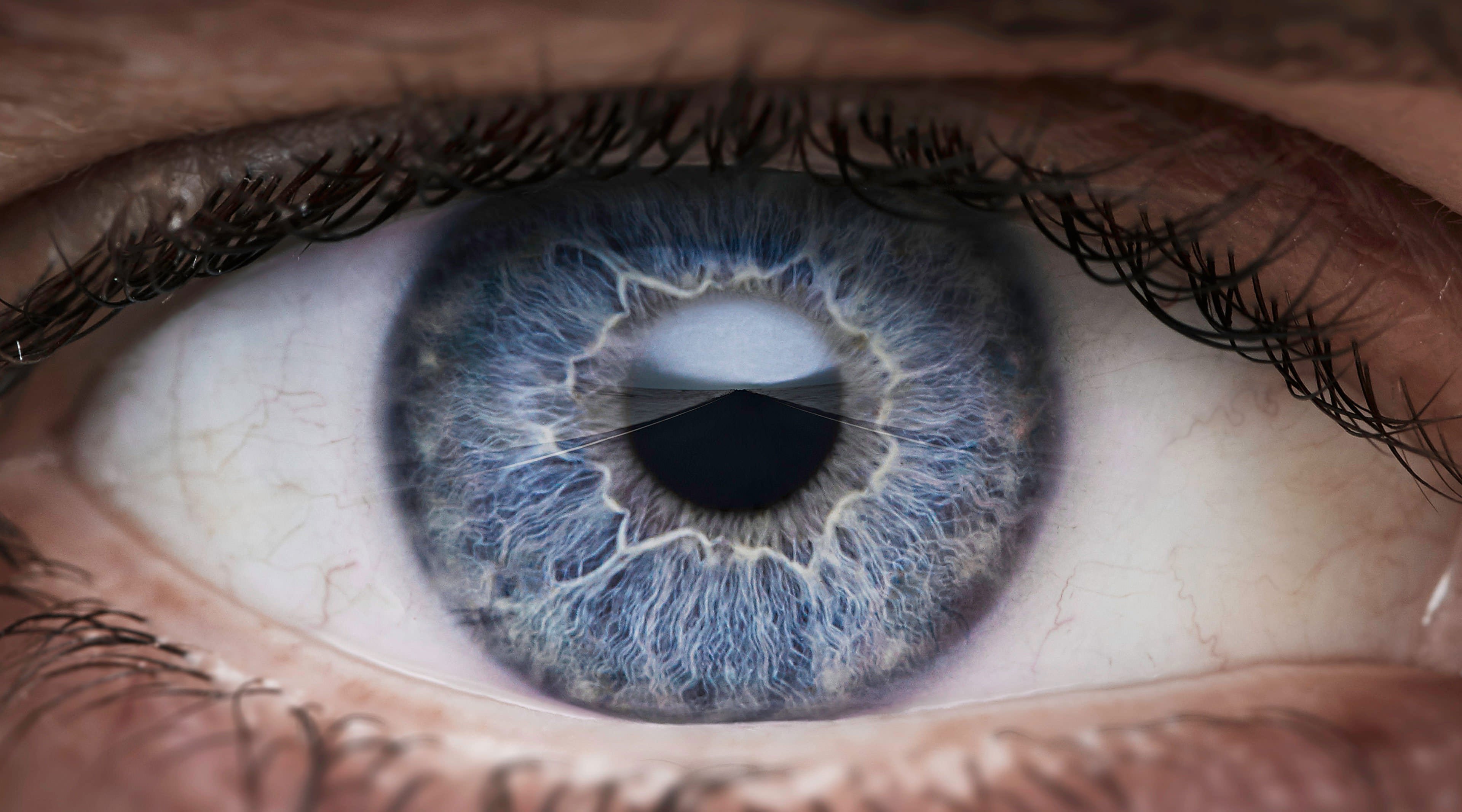 Gjør deg klar Gjør deg klar