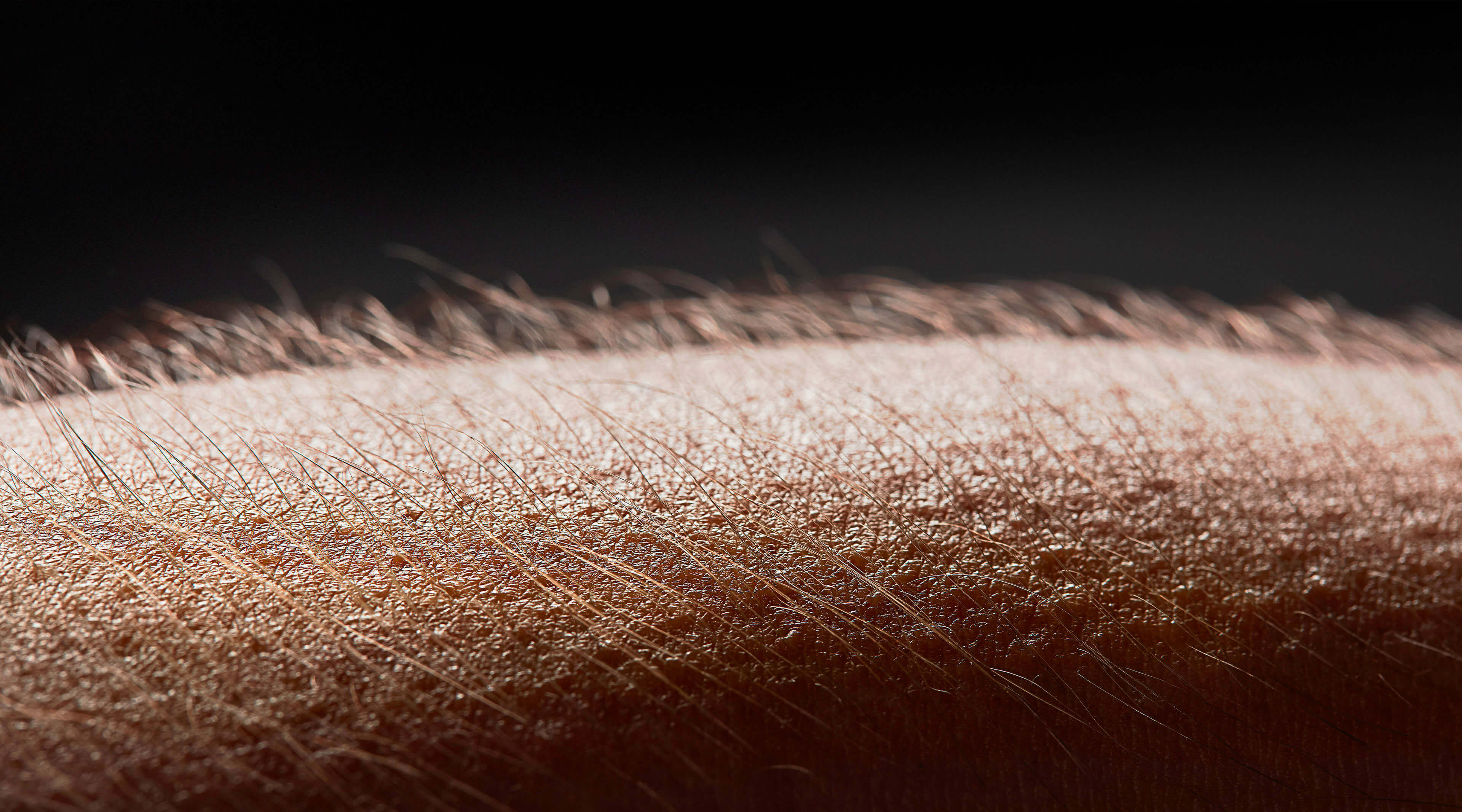 Begeistring Begeistring